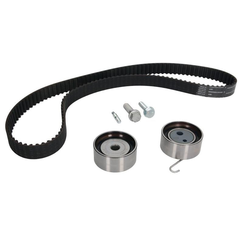 INA 530033810 Timing Belt Set