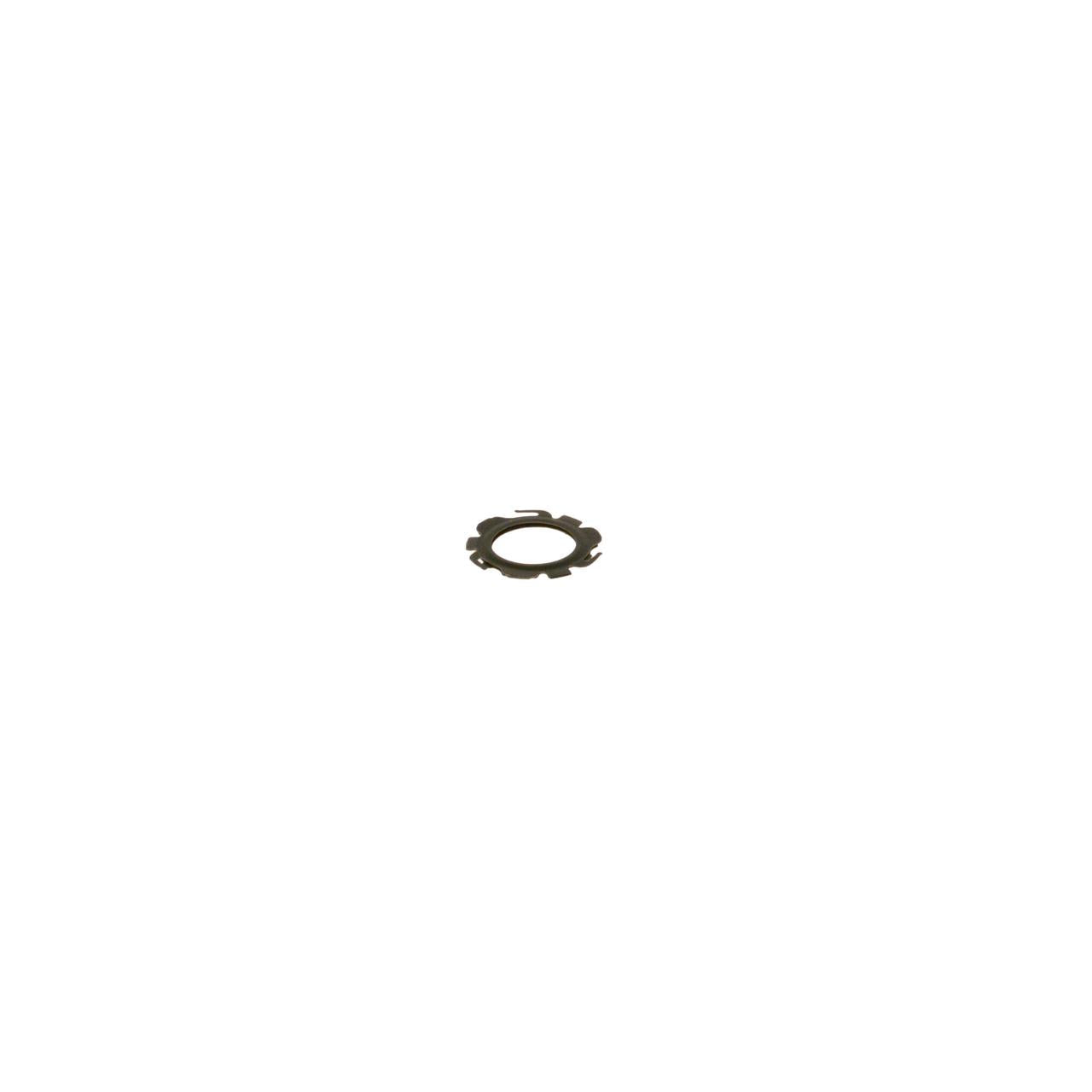 BOSCH 215-022 Injector