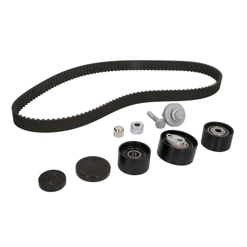 INA 530063710 Timing Belt Set