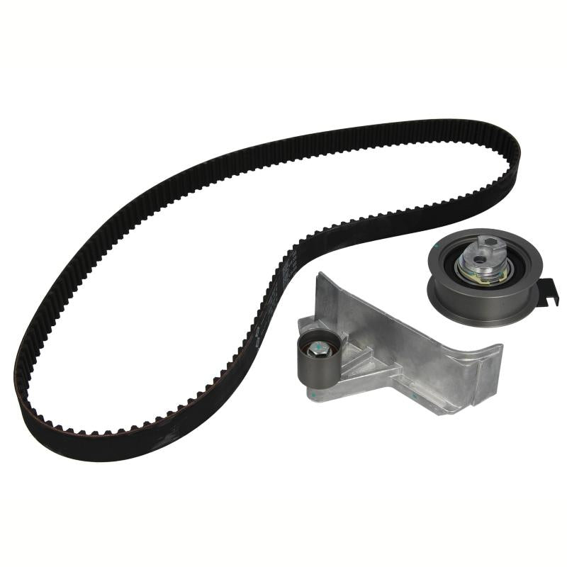 INA 530054610 Timing Belt Set