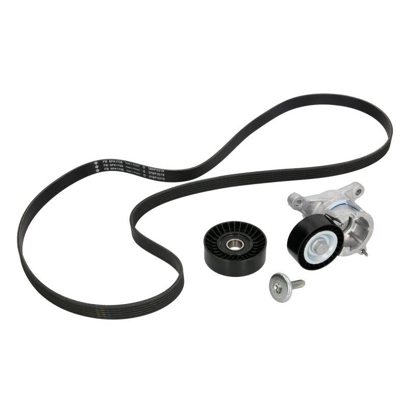 INA 529018410 V-Ribbed Belt Set