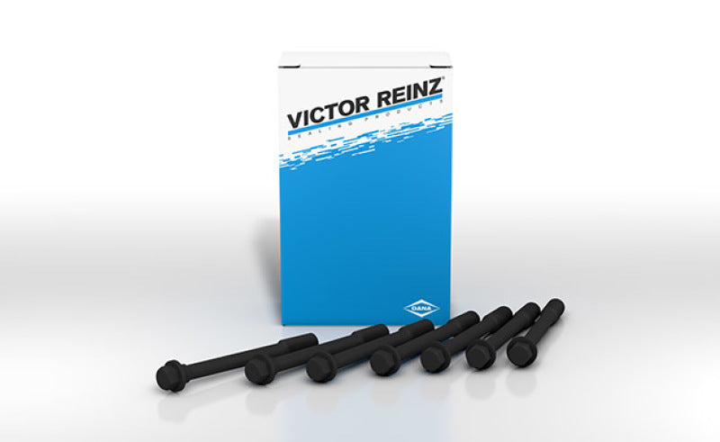 Victor Reinz MAHLE Original BMW 325I 95-94 Cylinder Head Bolts