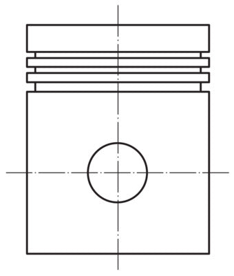 Mahle 0020202 - Piston with rings and pin