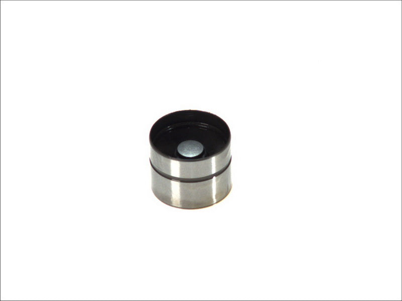 INA 420004710 Tappet