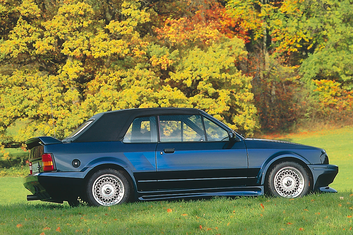 Rieger 00007070 Rear Wing Cabrio