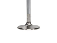 Manley Performance Manley Chevrolet Small Block Intake Valve Kit - 1.940in Head Dia. 4.911in O/A Length, 0.3415in Stem