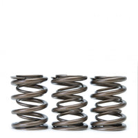 Skunk2 Racing Skunk2 Tuner Series Honda/Acura (H22A/F20B) DOHC VTEC Alpha Valve Spring Set (Dual Springs)