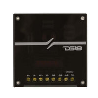 DS18 Dlx Quality 6.5in + 2in 2-Way 150 Watts RMS 4 ohm Yellow Straw + Composite Foam Cone Component