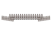 Ford Racing Ford GT and Mustang SVT 5.4L Lash Adjusters