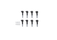 Ford Racing Boss 5.0L Block Plug & Dowel Kit