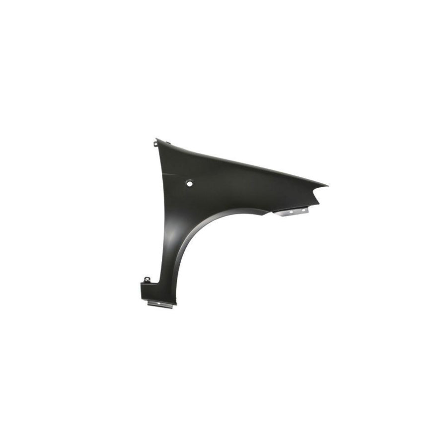 Blic 6504-04-2023314P Wing Fender for Fiat Punto II Hatchback (188)