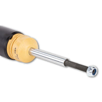 AP 11520032 BMW Coilover Kit (3 & 3 Coupe)