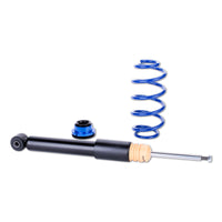 AP 1158000D VW Coilover Kit (BEETLE & BEETLE Convertible)
