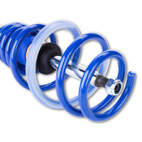 AP 1158000D VW Coilover Kit (BEETLE & BEETLE Convertible)