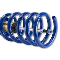 AP 11580012 Coilover Kit