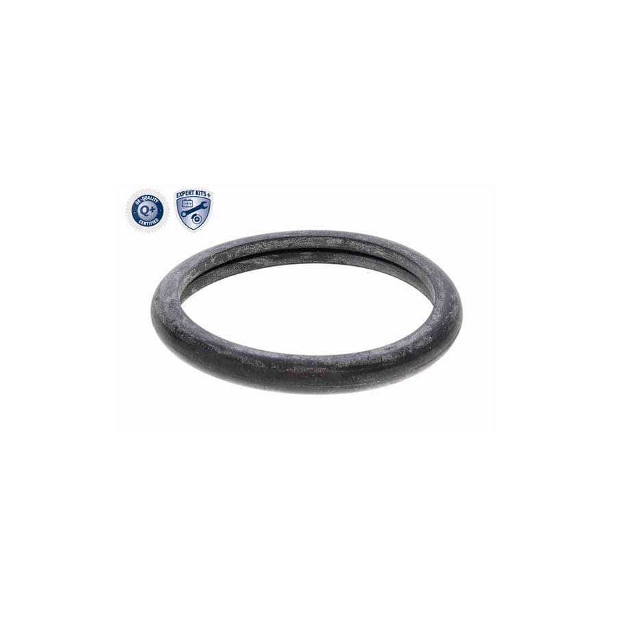 Ackoja A53-99-0008 Engine Thermostat