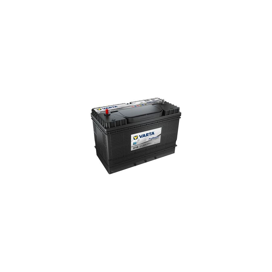 Varta H16 Trailer battery - Black Promotive Commercial Battery 12V 105Ah