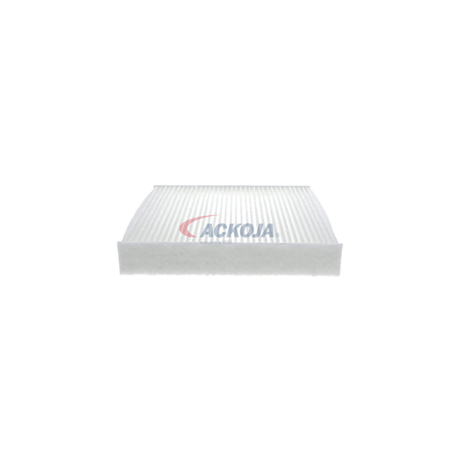 ACKOJA A26-30-0001 Pollen Filter