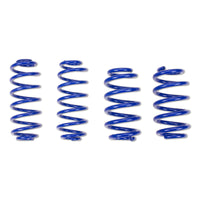 KW 25920261 BMW Lowering Springs (3 Touring)