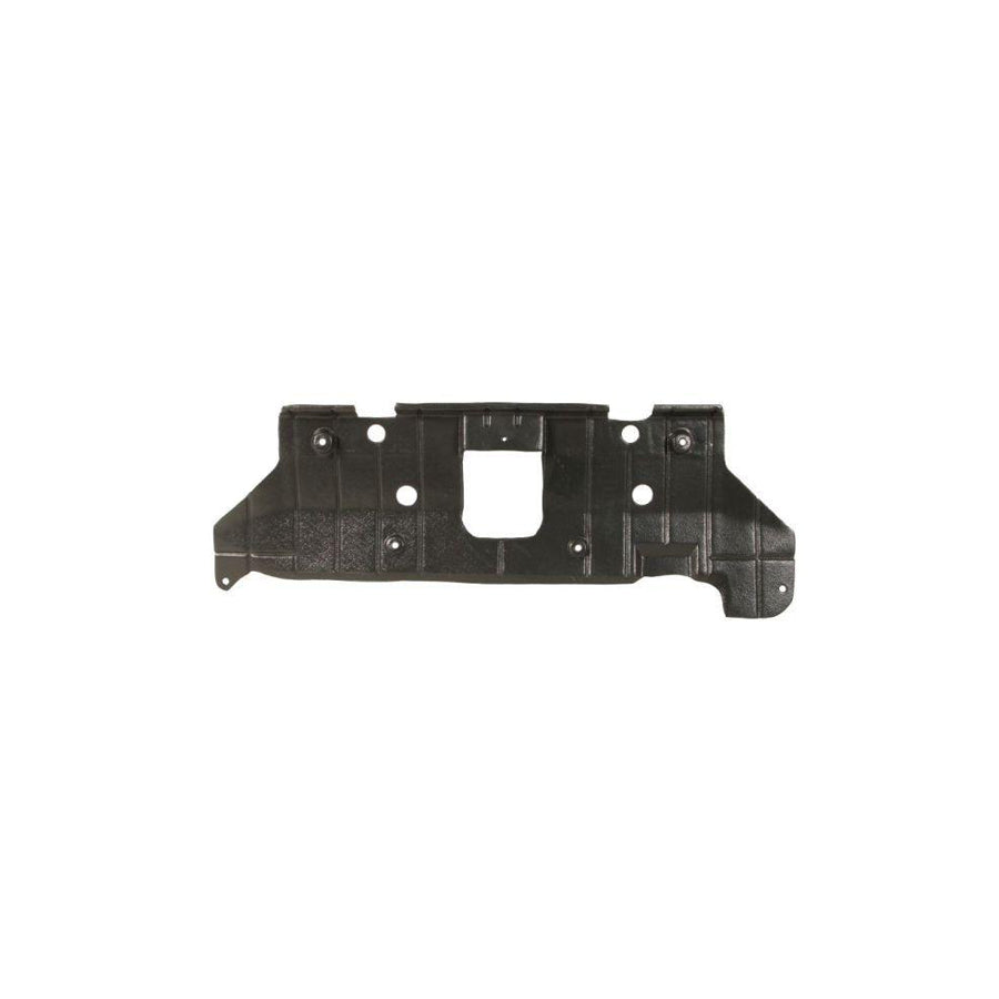 Blic 6601-02-3155860P Engine Cover
