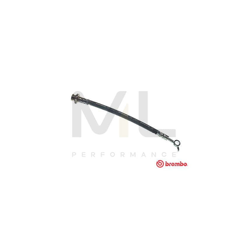 BREMBO T 56 162 Brake Hose 255mm, F10X1