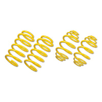 ST 28260193 Lowering Springs