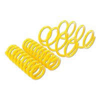 ST 28225041 Lowering Springs