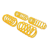ST 28220057 Lowering Springs