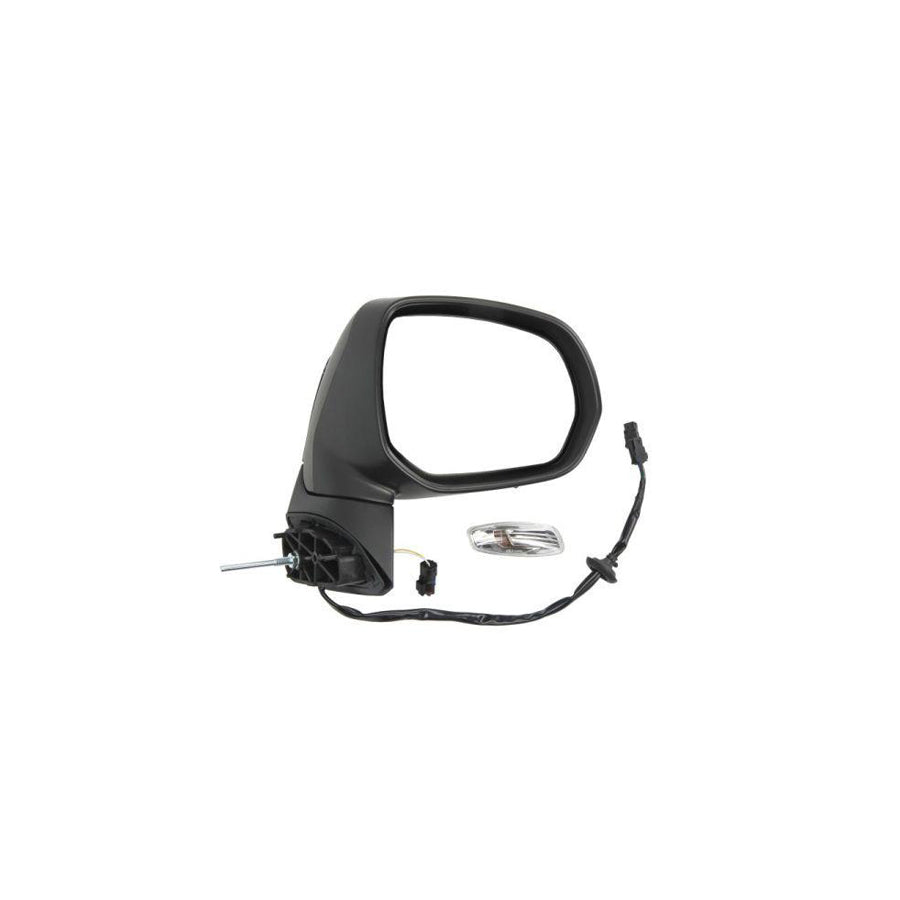 Blic 5402-08-031362P Wing Mirror