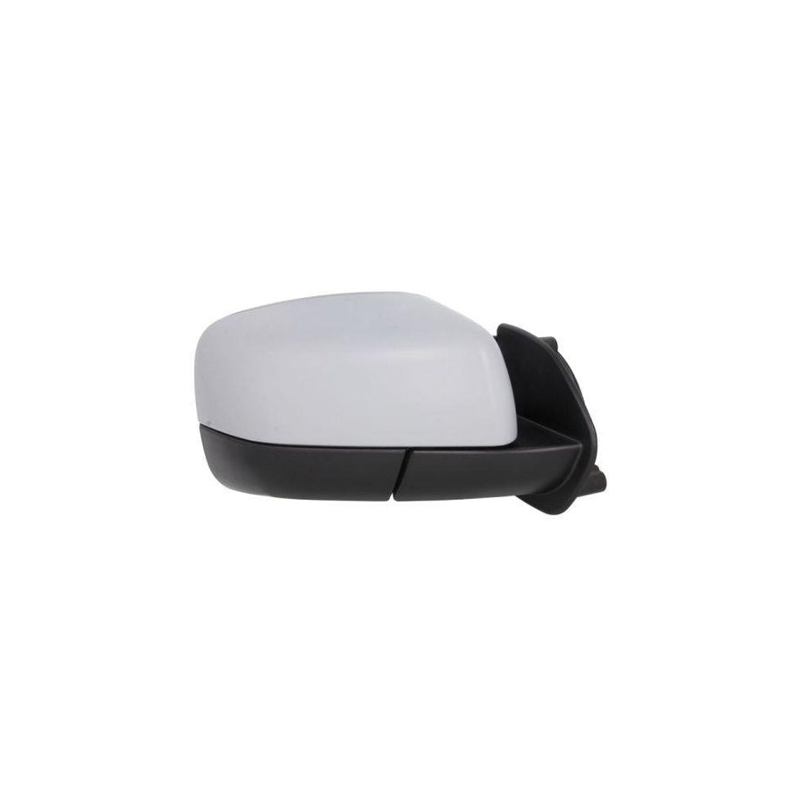 Blic 5402-57-2001630P Wing Mirror