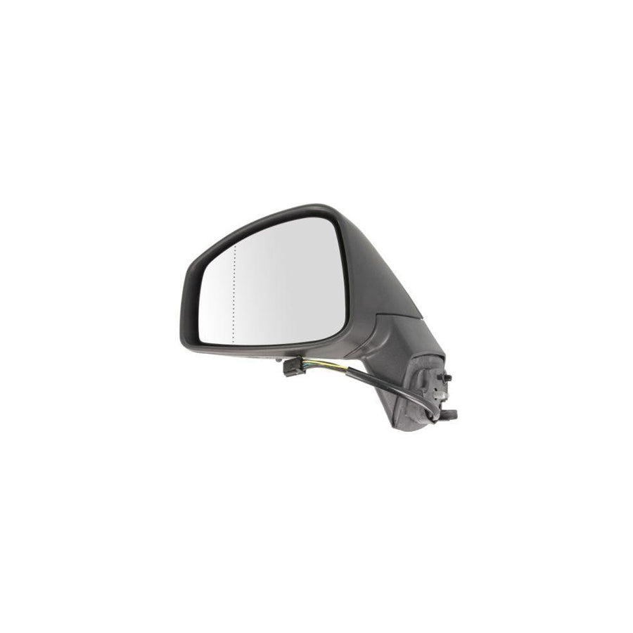 Blic 5402-09-2002155P Wing Mirror