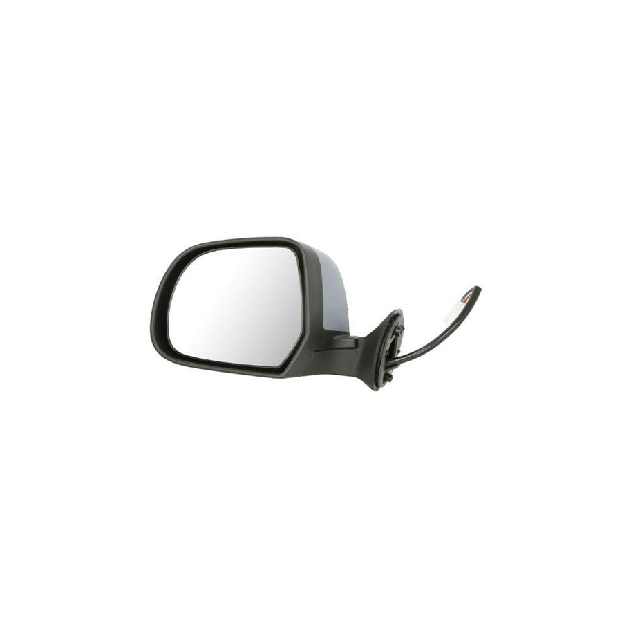 Blic 5402-67-003365P Wing Mirror