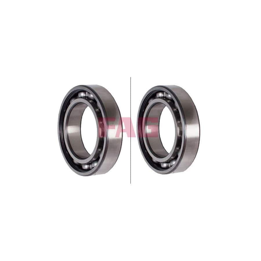 FAG 6009 Bearing