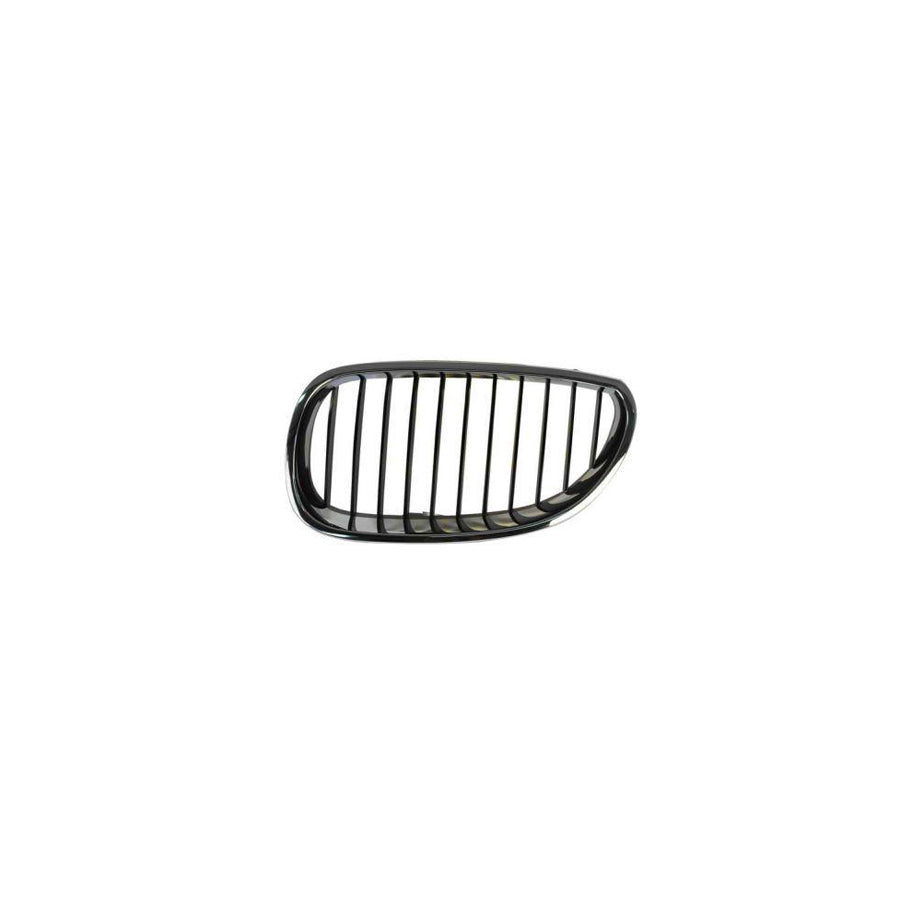Blic 6502-07-0066991P Radiator Grille for BMW 5 Series