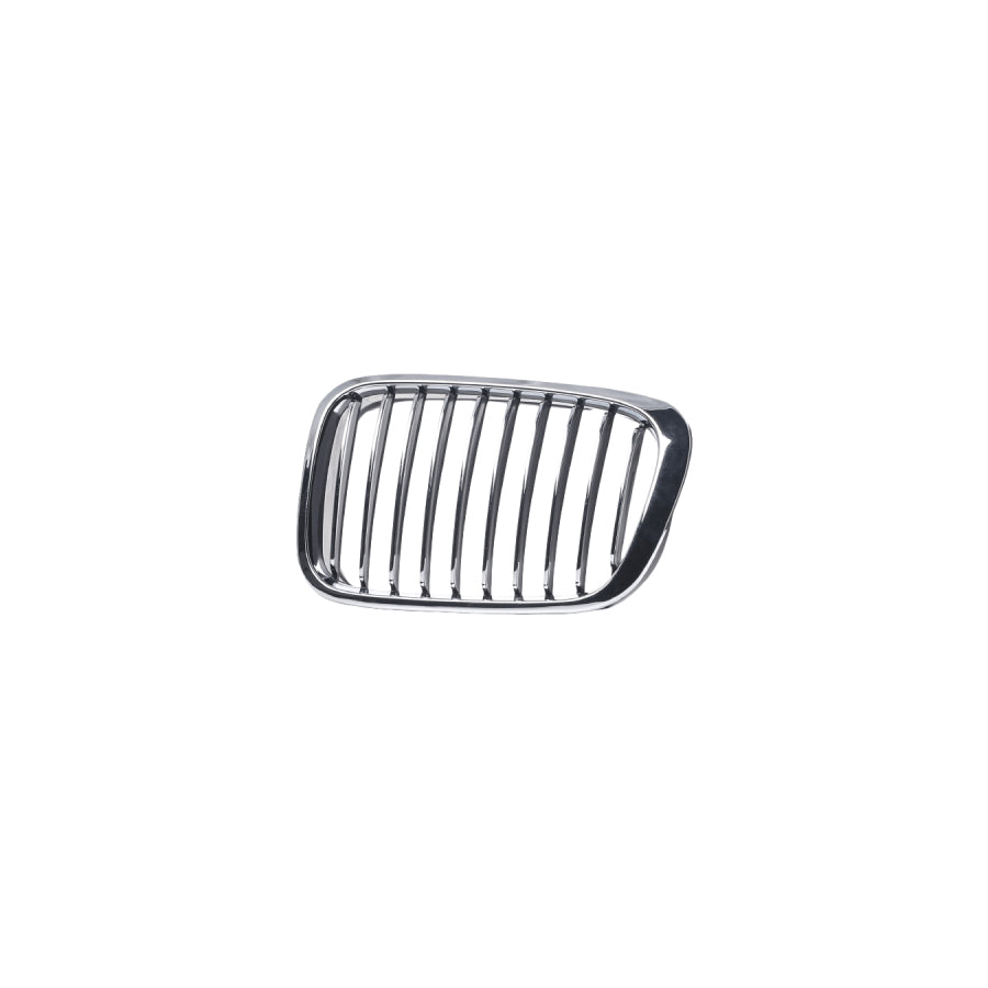 Blic 6502-07-4010991P Radiator Grille