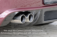 Rieger 00099858 BMW Z4 E85 Rear Diffuser for Twin Tailpipe Left & Right - Carbon-Look
