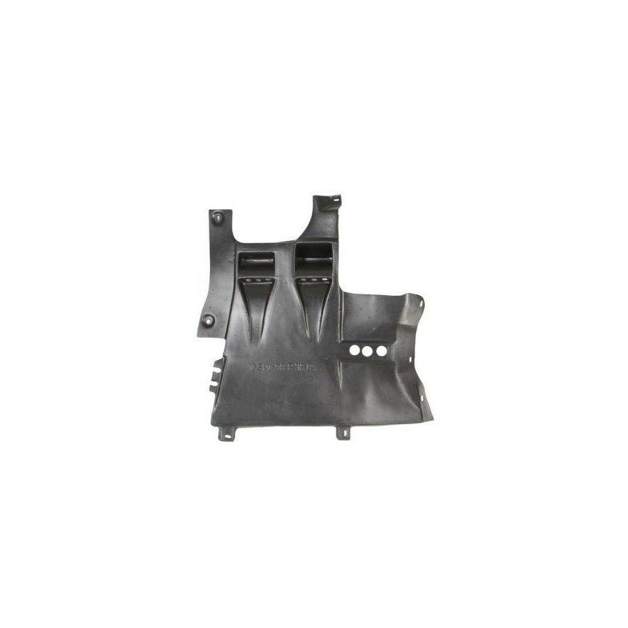 Blic 6601-02-9008876P Engine Cover
