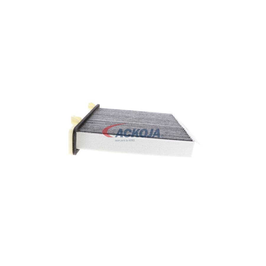 Ackoja A37-31-0005 Pollen Filter