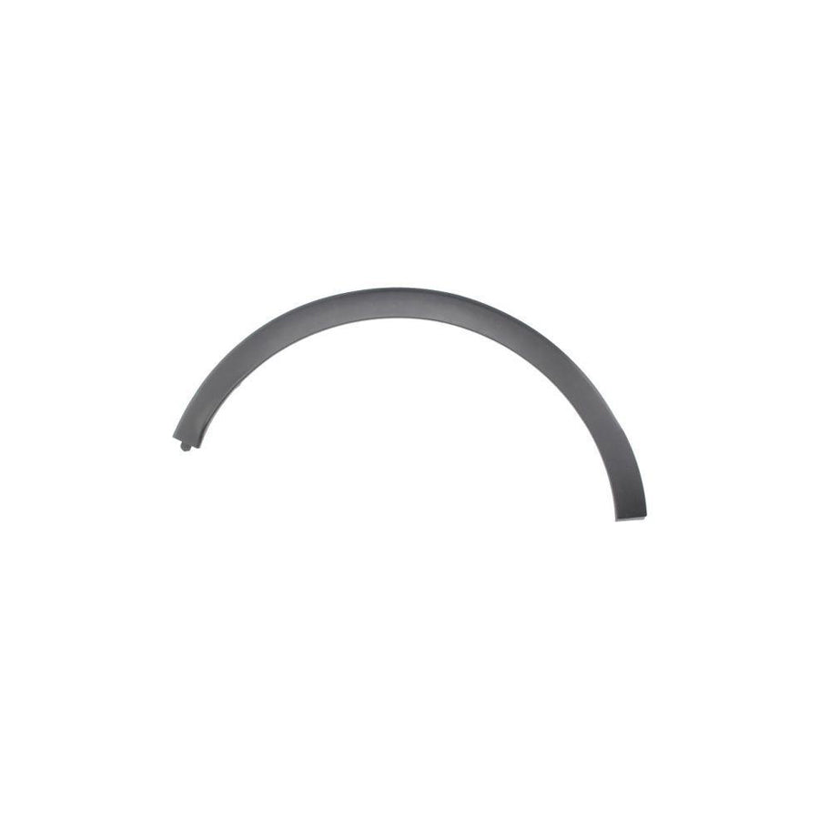 Blic 5703-04-6009598P Trim / Protective Strip, Mudguard for Renault Captur (J5_, H5_)