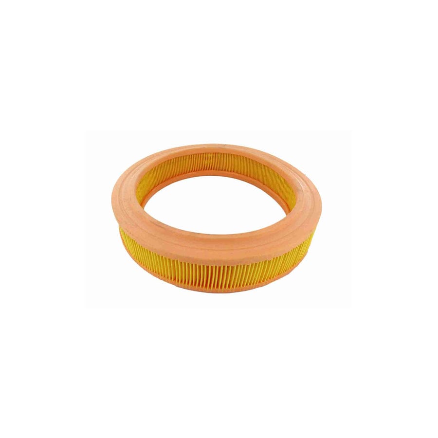 Vaico V25-0043 Air Filter