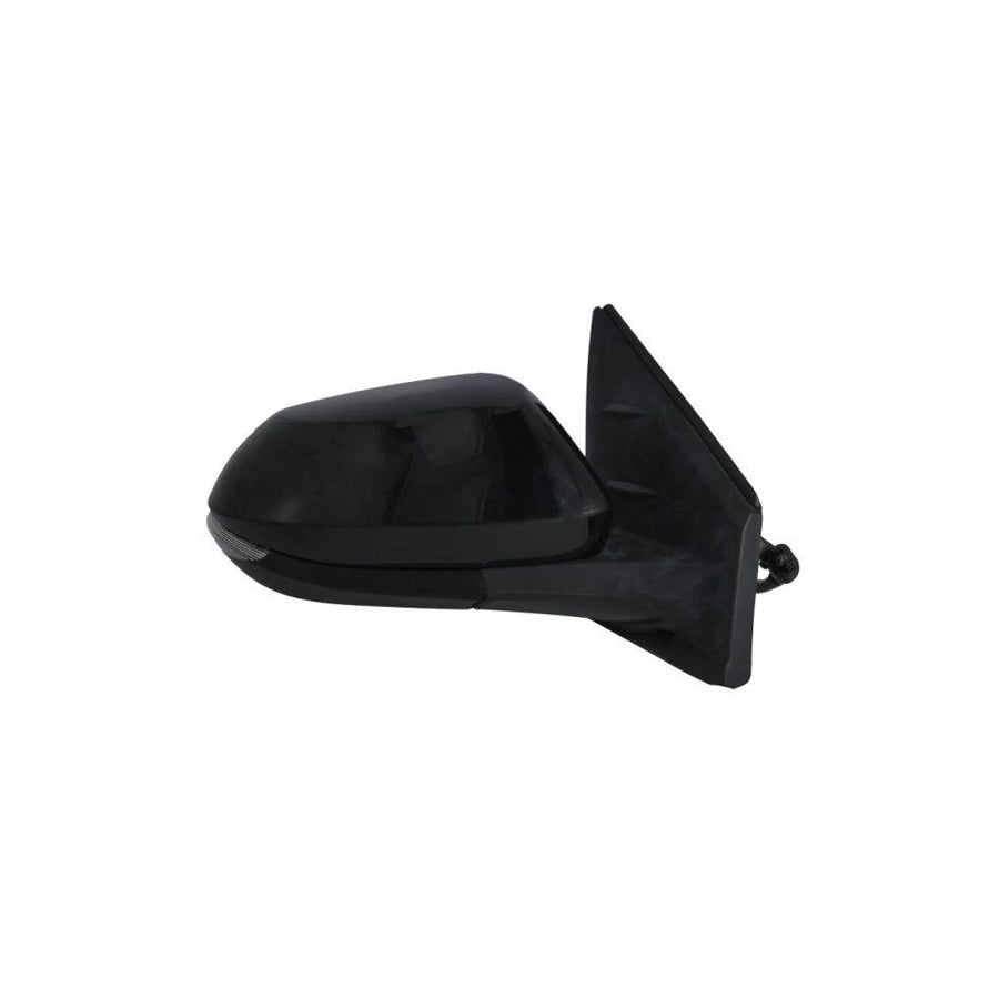 Blic 5402-19-2392317P Wing Mirror