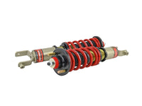 Skunk2 Racing Skunk2 96-00 Honda Civic (All Models) Pro S II Coilovers (10K/8K Spring Rates)