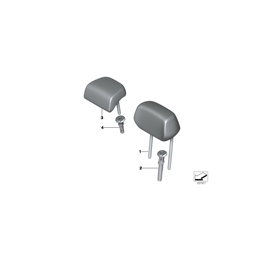 Genuine BMW 52209108314 F40 F44 Guide, Head Restraint, Center SCHWARZ (Inc. 118d, 218i & 228iX)