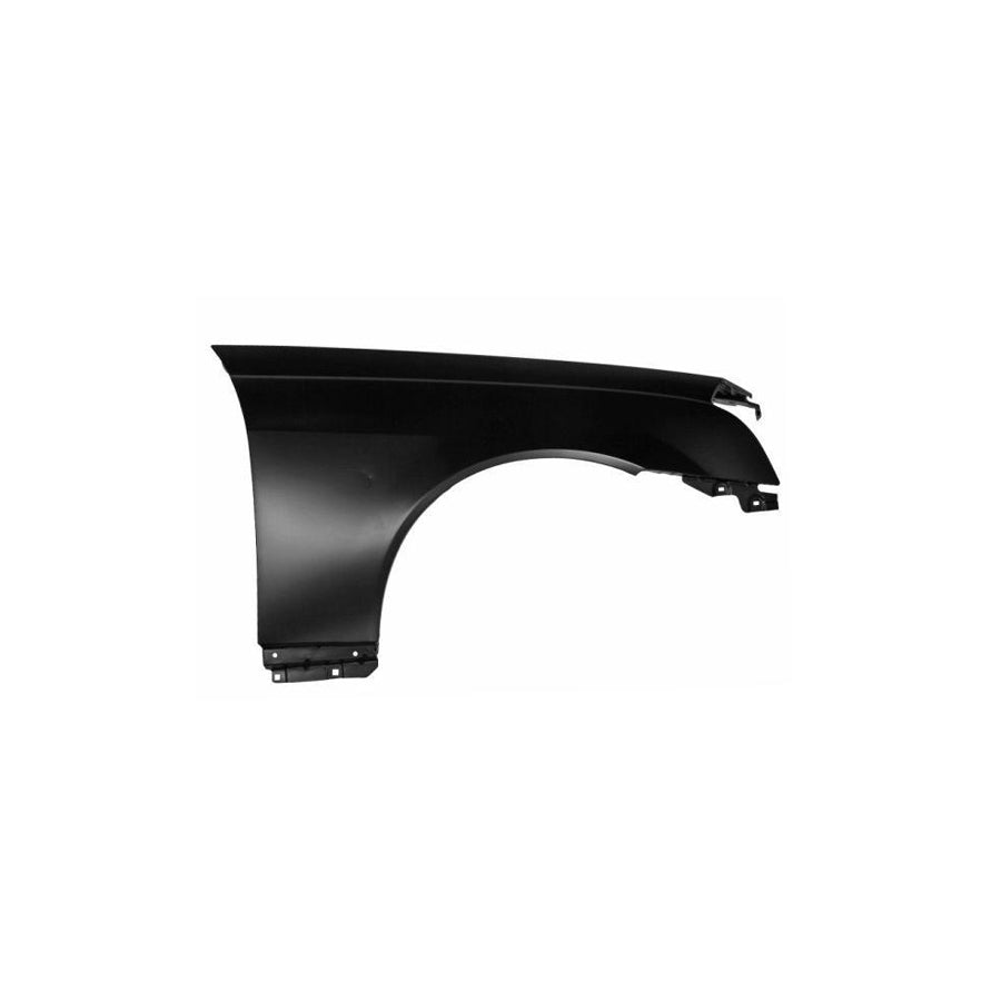Blic 6504-04-9000312P Wing Fender for Cadillac Cts I Saloon (Gmx320)