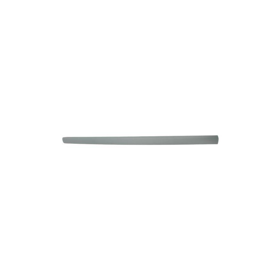 Blic 5703-04-9506575P Door Molding for VW Polo