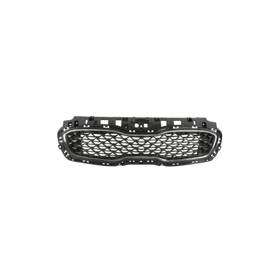 Blic 6502-07-3296992P Radiator Grille