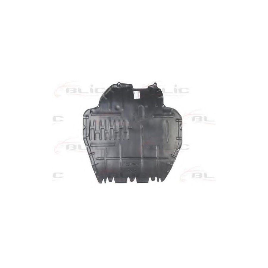 Blic 6601-02-0015862P Engine Cover