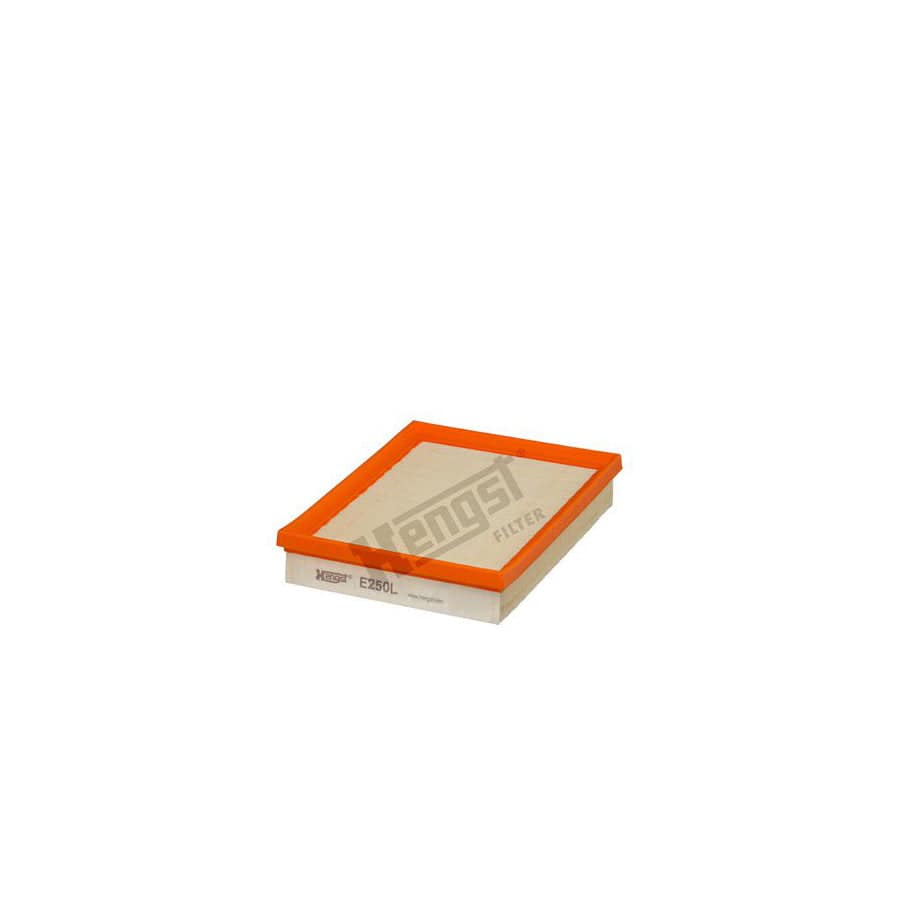 Hengst Filter E250L Air Filter