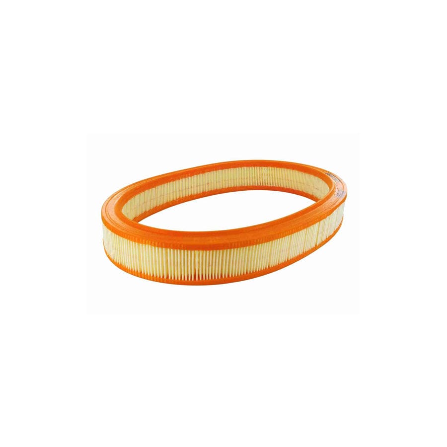Vaico V25-0042 Air Filter
