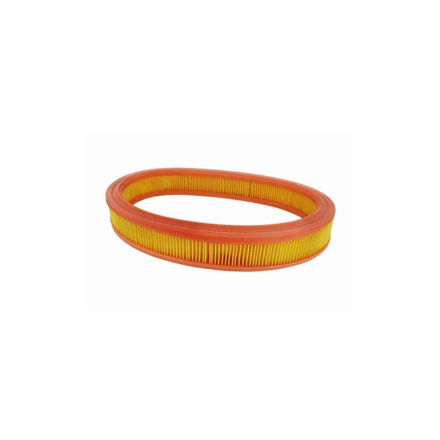 Vaico V25-0045 Air Filter